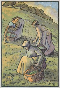 Women Gathering Mushrooms, from 